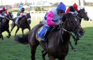 Bernard Fayd'herbe drives the Trippi filly Hammie's Hooker home in the Tibouchina