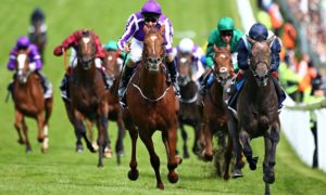 Kingston Hill, right, will try and turn the tables on Epsom Derby conqueror Australia, left, at The Curragh on Saturday. Photograph: Charlie Crowhurst/Getty Images