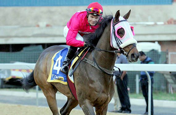 Lord Rose wins in Greyville on 06/14/03
