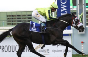 Karl Neisius guides Power King to a smooth win in the Winter Classic (Equine Edge)