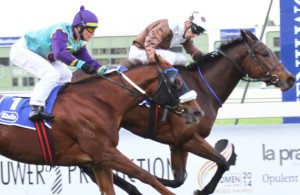 Princess Ofthe Sky (Aldo Domeyer) holds off Piere Strydom and the flying Acrostar (Equine Edge)