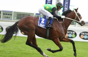 Sean Cormack drives Act Of War clear to win the Langerman (Bay Media)