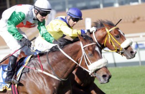 Billy Jacobson keeps Royal Inn at it to beat Delpech on Maachaan