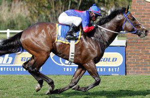 Skitt Skizzle looks set for his fourth win at the Vaal on Thursday