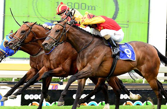 Tellina wins the Gr3 London News at Turffontein 2014-01-12