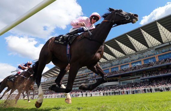The Fugue Prince of Wales Stakes_compressed
