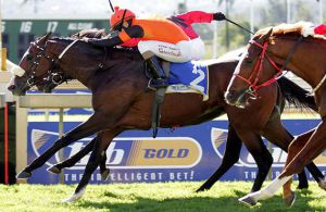 Tribal Dance wins the Listed The Sledgehammer Handicap at Scottsville on 13-04-28