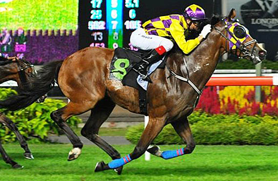 Wild Geese wins at Kranji on 17-05-13