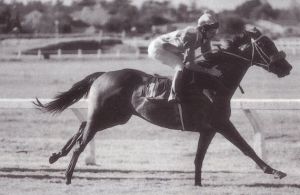 1994 Durbanville Oaks