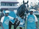 1994 Gr1 Mainstay International