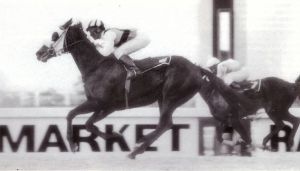 1994 Maurice Passmore Handicap