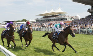 2014 Qipco Sussex Stakes