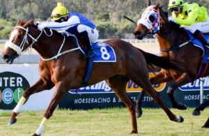 JP van der Merwe drives La Salle clear to win the Wedgewood Handicap