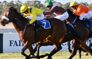 Richard Fourie gives Irish Myth a confident ride to win the Listed E Cape Paddock Stakes (Coastal Photos)