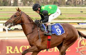 Rake's Chestnut is well in and Strydom rides