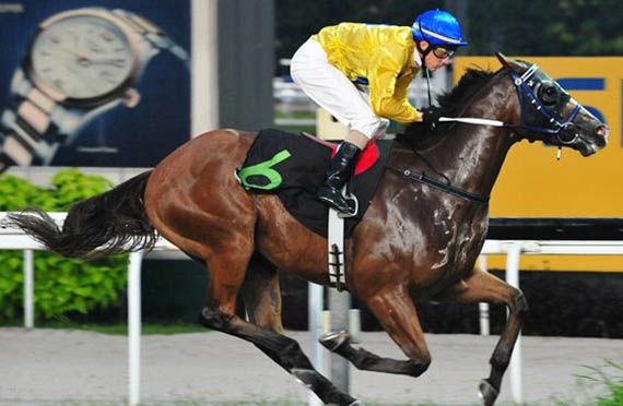 Singapore Racing Friday 1 August Preview