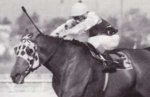 1994 Gr2 Premier's Handicap