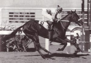 1994 Gr3 Matchem Stakes