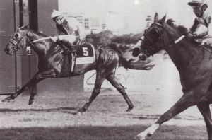 1994 KZN Guineas