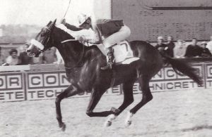 1994 Spring Handicap