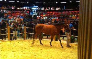 Lot 81 - Anthony Stroud secured for €1,000,000 lot 81 a Galileo filly out of Dance Secretary consigned by Haras de la Reboursière et de Montaigu