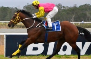 Blaze Of Fire and Francois Herholdt are on their own at the finish of the Fairview feature (Coastal Photos)