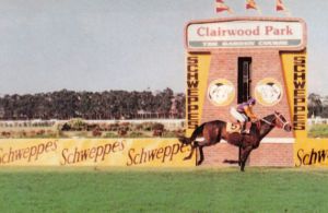 Clairwood - 1987 Gr1 Schweppes Natal Administrators Champions Challenge - MODEL MAN - finish2_compressed