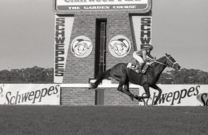 Where is everybody? Model Man wins the 1987 Schweppes by