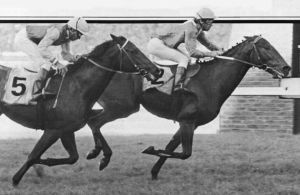 Bush Telegraph wins the 1987 Rupert Ellis Brown