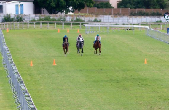 Grass Gallops (photo: hamishNIVENPhotography)