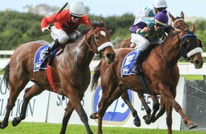 Jet Supreme 9outside) gets the better of Acrostar to win Gr3 Final Fling Stakes (Bay Media)