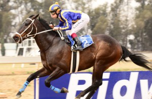 Jet Jamboree powers in under avin Lerena (JC Potos)