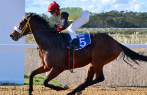 Lord Badger (Greg Cheyne) draws clear to win easily (Coastal Photos)