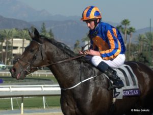 Magician could start on Saturday in the Arlington Million