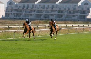 Milnerton Grass Gallops