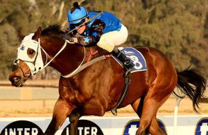Piere Strydom rides the in-form Samogan