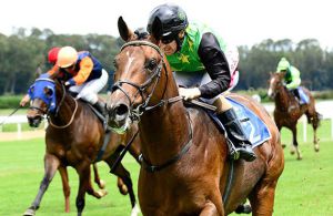 Shadow Ofhis Smile has Striker in the saddle on turf return