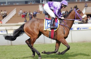 Supercedw could be  a banker on Tuesday