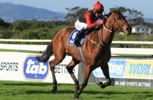 MJ Byleveld keeps Surruptitious at his task to win the Kenilworth topliner (Bay Media)