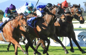Finish of the day - Tobe's First(centre) beats Shishangeni and Golden Dane on the outside (Bay Media)
