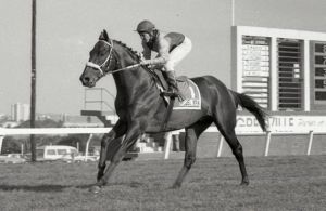 Model Man, 1987 Champion Stakes