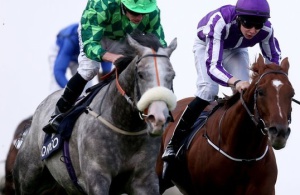 2014 Qipco Champion Stakes - The Grey Gatsby & Ryan Moore