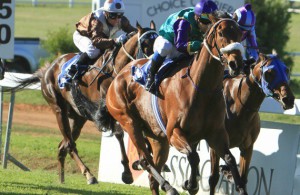 Antonia's Fortress - classy filly