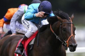 Brown Panther wins Irish St Leger