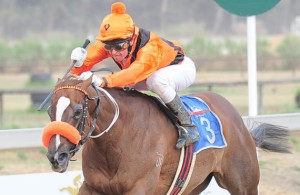 Flame Cat could give Azzie the double