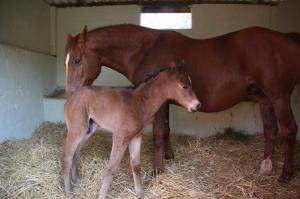 The beauty and her proud Mom, Gardener's Delight