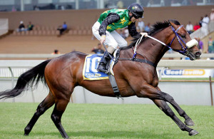 The Mike De Kock-trained jet Avenger could prove the value