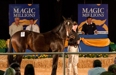 Magic Millions