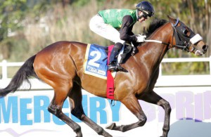 Man To Man seen winning at Clairwood early in his career