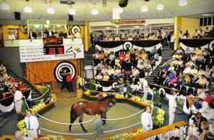 National Yearling Sale